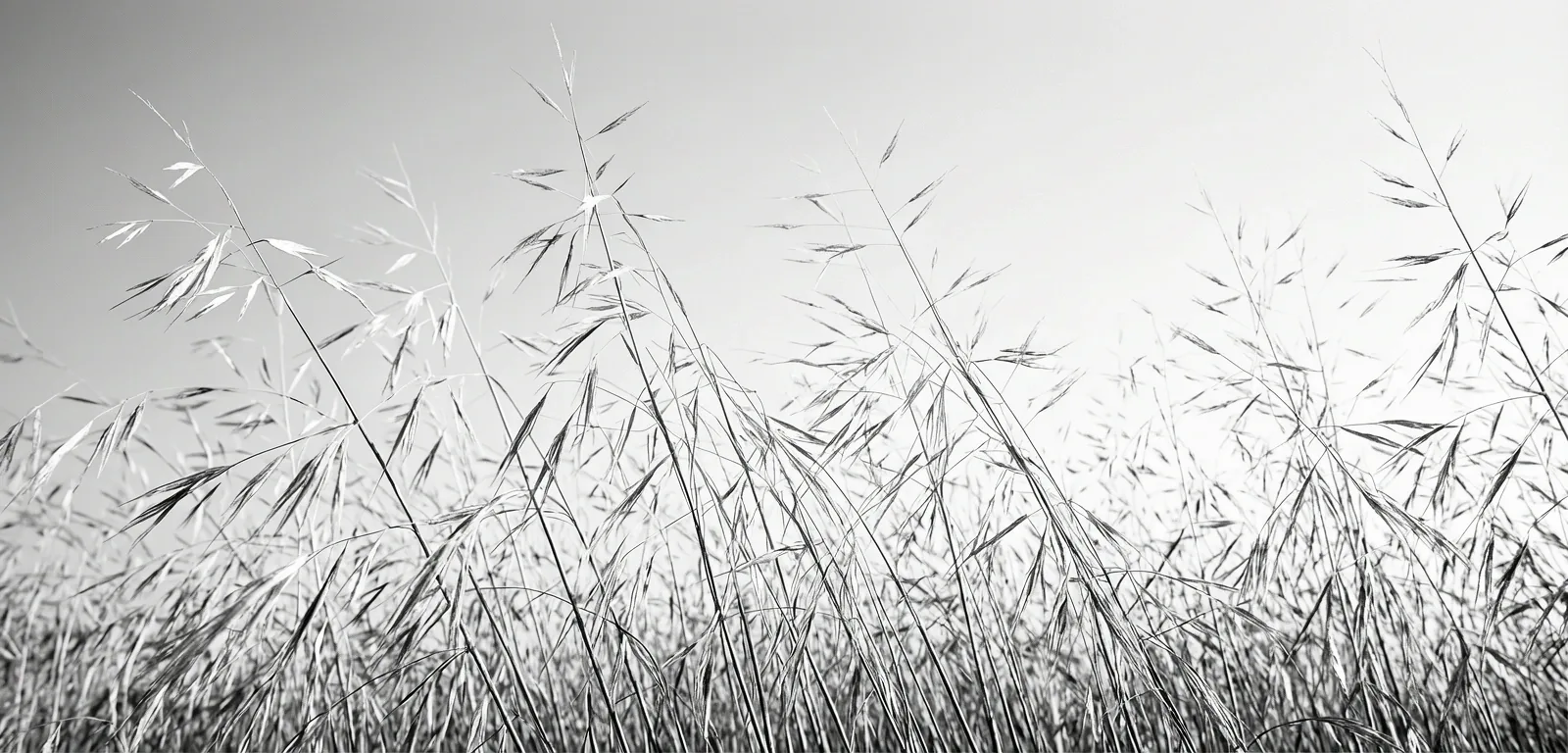 Texture éthérée
